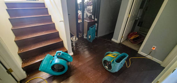 Best Basement water damage restoration  in Frewsburg, NY