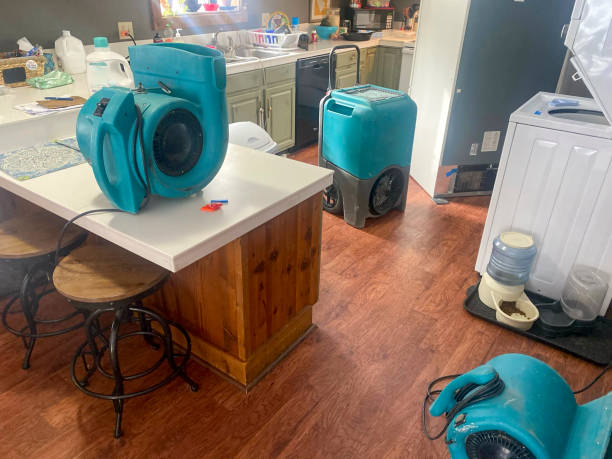Best Water damage restoration near me  in Frewsburg, NY