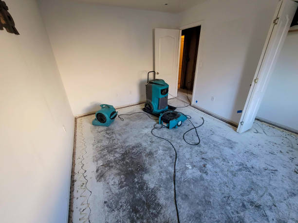 Best Commercial water damage restoration  in Frewsburg, NY