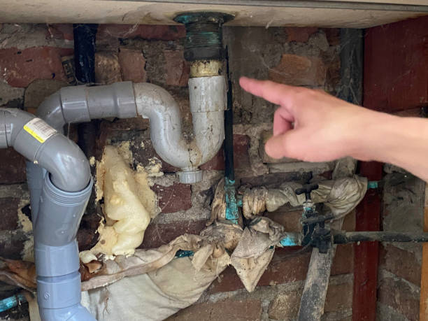 Best Flood damage cleanup  in Frewsburg, NY