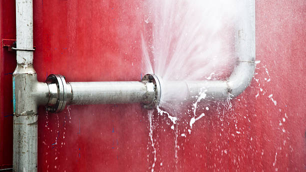 Best Flood damage cleanup  in Frewsburg, NY